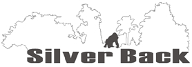 ダンヒル・カルティエの財布・小物なら｢Silver-Back｣